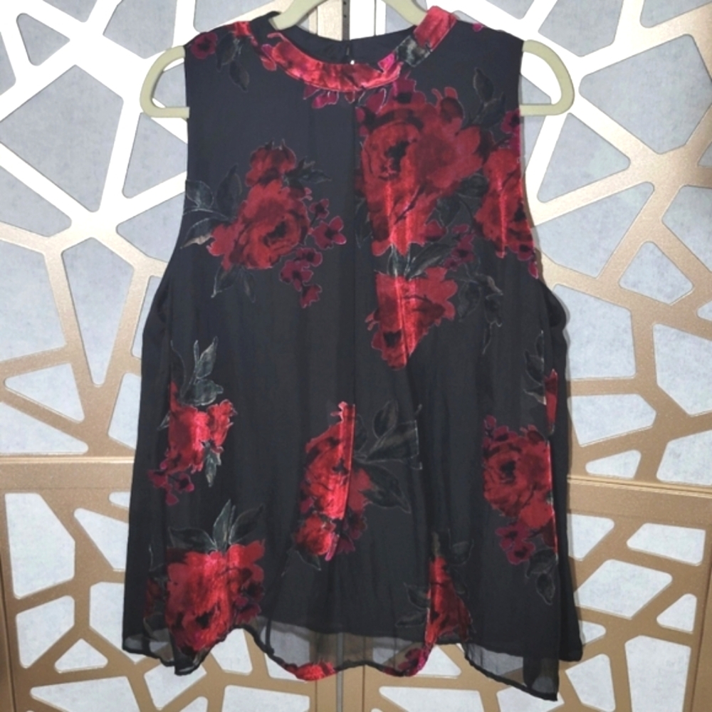 NWOT BREATHLESS Floral Velvet sheer overlay Blouse